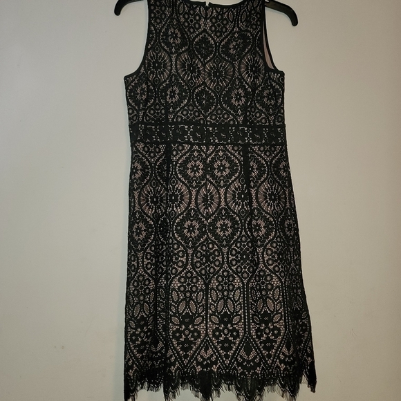 SEXY New Women's Loft Dress - Picture 8 of 8